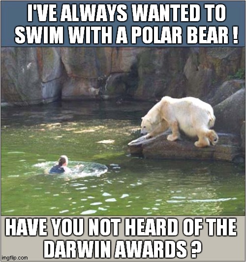 The Bucket List Ended Here ! | I'VE ALWAYS WANTED TO
 SWIM WITH A POLAR BEAR ! HAVE YOU NOT HEARD OF THE 
DARWIN AWARDS ? | image tagged in polar bears,bucket list,darwin awards,dark humour | made w/ Imgflip meme maker