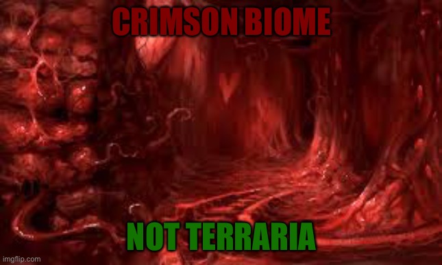 Crimson meme | CRIMSON BIOME; NOT TERRARIA | image tagged in terraria | made w/ Imgflip meme maker