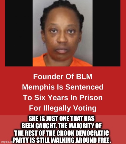 The Democratic party | SHE IS JUST ONE THAT HAS BEEN CAUGHT. THE MAJORITY OF THE REST OF THE CROOK DEMOCRATIC PARTY IS STILL WALKING AROUND FREE. | image tagged in democrats,democratic party,black lives matter,liberal logic,election 2020,memes | made w/ Imgflip meme maker