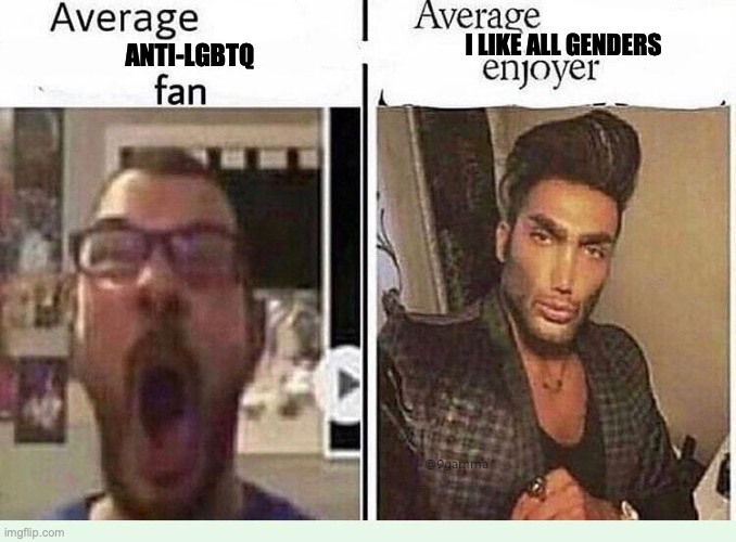 im not gay tho | I LIKE ALL GENDERS; ANTI-LGBTQ | image tagged in average blank fan vs average blank enjoyer | made w/ Imgflip meme maker