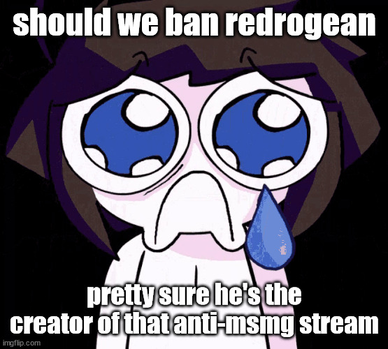 nvm, he's a mod for it | should we ban redrogean; pretty sure he's the creator of that anti-msmg stream | image tagged in crying human | made w/ Imgflip meme maker
