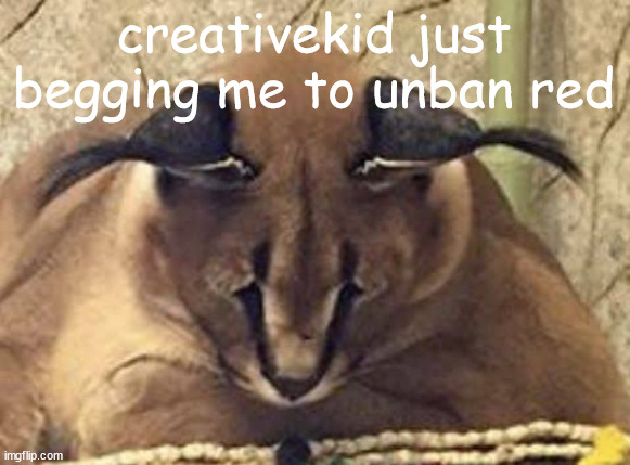 depressed floppa | creativekid just begging me to unban red | image tagged in depressed floppa | made w/ Imgflip meme maker