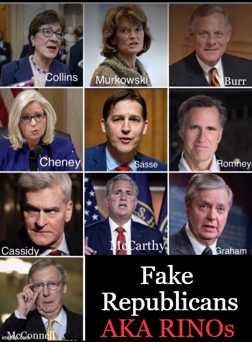 The only thing lower than a RINO is a DEMOCRAT . . . | Fake 
Republicans; AKA RINOs | image tagged in politics,rino,lowlife,fake people,losers,disgusting | made w/ Imgflip meme maker