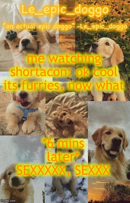 Doggo temp by doggo. Wait what that’s confusing | me watching shortacon: ok cool its furries, now what; *6 mins later* SEXXXXX, SEXXX | image tagged in doggo temp by doggo wait what that s confusing | made w/ Imgflip meme maker