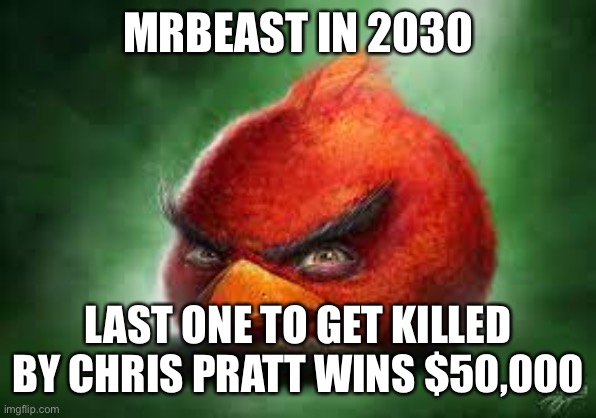Mr Beast meme | MRBEAST IN 2030; LAST ONE TO GET KILLED BY CHRIS PRATT WINS $50,000 | image tagged in realistic red angry birds | made w/ Imgflip meme maker