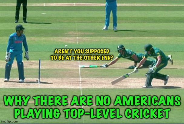 Cricket | AREN'T YOU SUPPOSED TO BE AT THE OTHER END? WHY THERE ARE NO AMERICANS PLAYING TOP-LEVEL CRICKET | image tagged in cricket | made w/ Imgflip meme maker