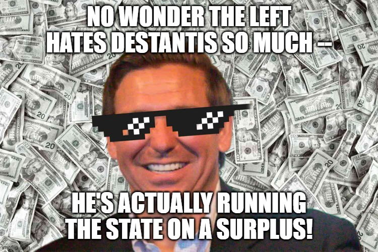 If you're not going into debt like a teenager with a credit card, are you even governing? | NO WONDER THE LEFT HATES DESTANTIS SO MUCH --; HE'S ACTUALLY RUNNING THE STATE ON A SURPLUS! | image tagged in i should move to florida | made w/ Imgflip meme maker