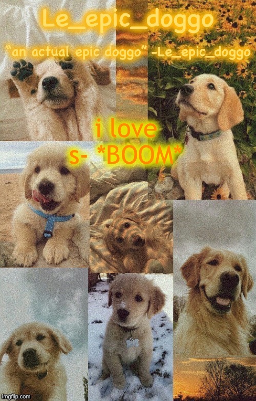 Doggo temp by doggo. Wait what that’s confusing | i love s- *BOOM* | image tagged in doggo temp by doggo wait what that s confusing | made w/ Imgflip meme maker
