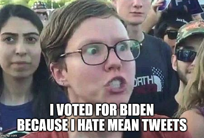 Triggered Liberal | I VOTED FOR BIDEN BECAUSE I HATE MEAN TWEETS | image tagged in triggered liberal | made w/ Imgflip meme maker