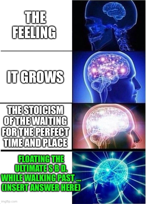 SBD farts | THE FEELING; IT GROWS; THE STOICISM OF THE WAITING FOR THE PERFECT TIME AND PLACE; FLOATING THE ULTIMATE S B D. WHILE WALKING PAST …
(INSERT ANSWER HERE) | image tagged in memes,expanding brain | made w/ Imgflip meme maker