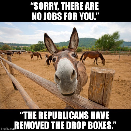 No more cheating, Democrats! | “SORRY, THERE ARE 
NO JOBS FOR YOU.”; “THE REPUBLICANS HAVE 
REMOVED THE DROP BOXES.” | image tagged in democrat party,democrats,crying democrats,election fraud,voter fraud,criminals | made w/ Imgflip meme maker