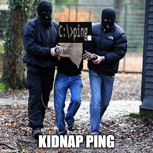 kidnap Ping | KIDNAP PING | image tagged in computer,dank memes,weird | made w/ Imgflip meme maker