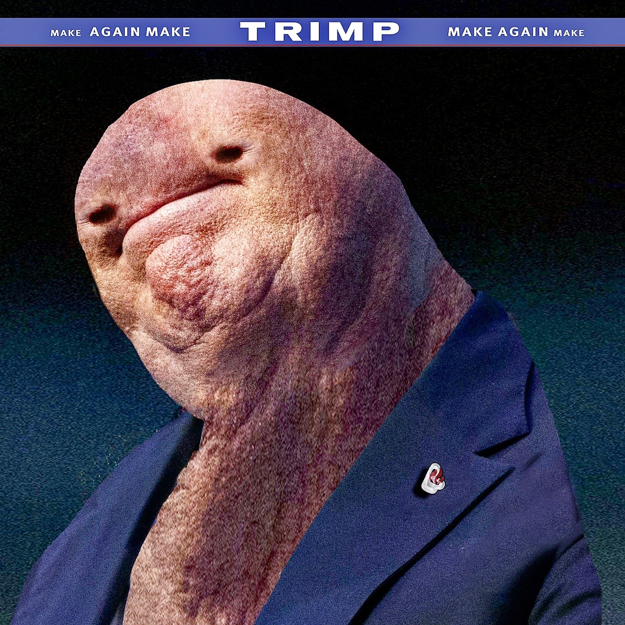 Dinild Trimp Blank Meme Template