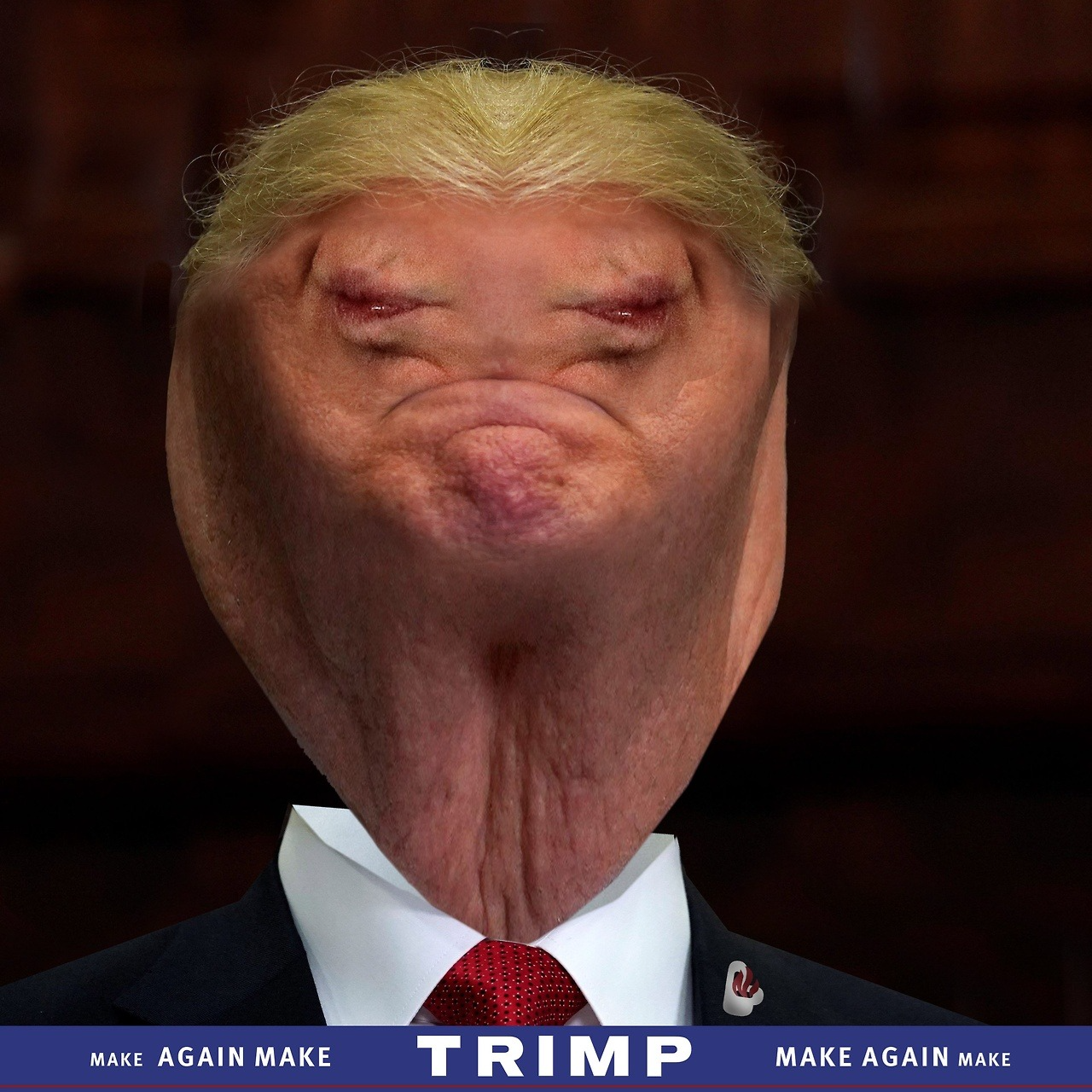 High Quality Dinild Trimp Blank Meme Template