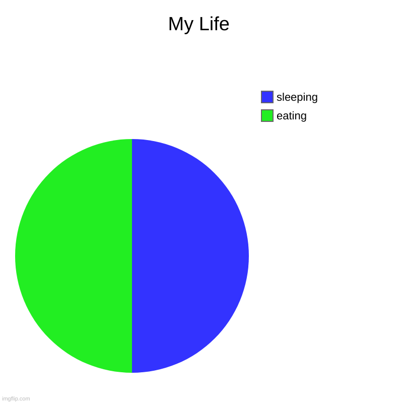My Life | eating, sleeping | image tagged in charts,pie charts | made w/ Imgflip chart maker