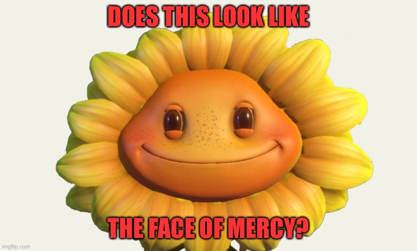 just look at that face! | DOES THIS LOOK LIKE; THE FACE OF MERCY? | image tagged in garden warfare 2 sunflower | made w/ Imgflip meme maker