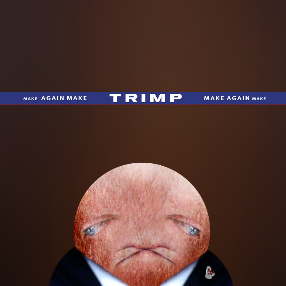 High Quality Dinild Trimp Blank Meme Template