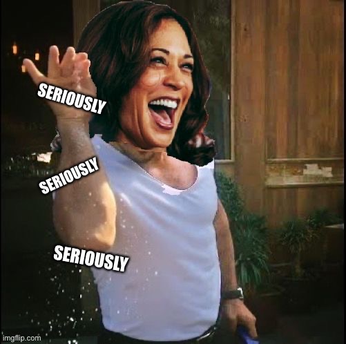 Seriously | SERIOUSLY; SERIOUSLY; SERIOUSLY | image tagged in kamala harris,seriously | made w/ Imgflip meme maker