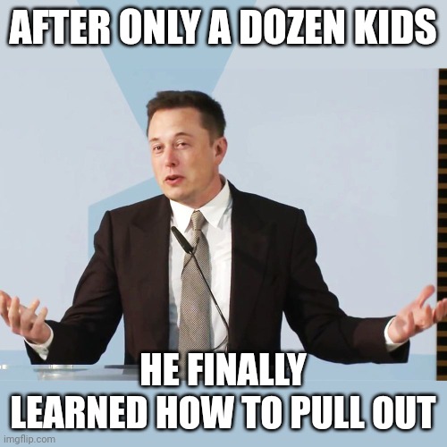 It was always a pump and dump scheme | AFTER ONLY A DOZEN KIDS; HE FINALLY LEARNED HOW TO PULL OUT | image tagged in elon musk | made w/ Imgflip meme maker