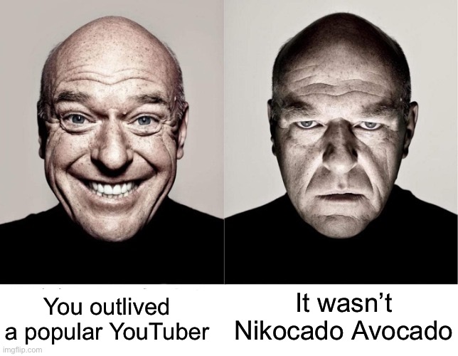 breaking bad smile frown | You outlived a popular YouTuber; It wasn’t Nikocado Avocado | image tagged in breaking bad smile frown | made w/ Imgflip meme maker