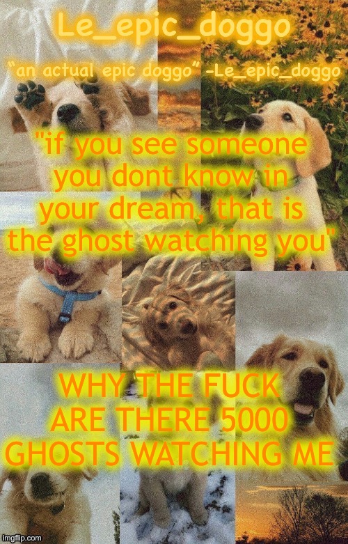 Doggo temp by doggo. Wait what that’s confusing | "if you see someone you dont know in your dream, that is the ghost watching you"; WHY THE FUCK ARE THERE 5000 GHOSTS WATCHING ME | image tagged in doggo temp by doggo wait what that s confusing | made w/ Imgflip meme maker