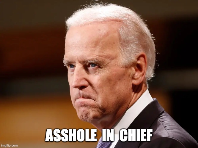 ASSHOLE  IN  CHIEF | image tagged in biden,joe biden | made w/ Imgflip meme maker