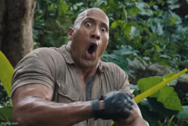 The Rock Shock | image tagged in the rock shock | made w/ Imgflip meme maker
