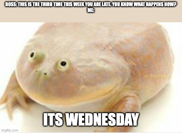 It's Wednesday my dudes |  BOSS: THIS IS THE THIRD TIME THIS WEEK YOU ARE LATE. YOU KNOW WHAT HAPPENS NOW?
ME:; ITS WEDNESDAY | image tagged in it's wednesday my dudes | made w/ Imgflip meme maker