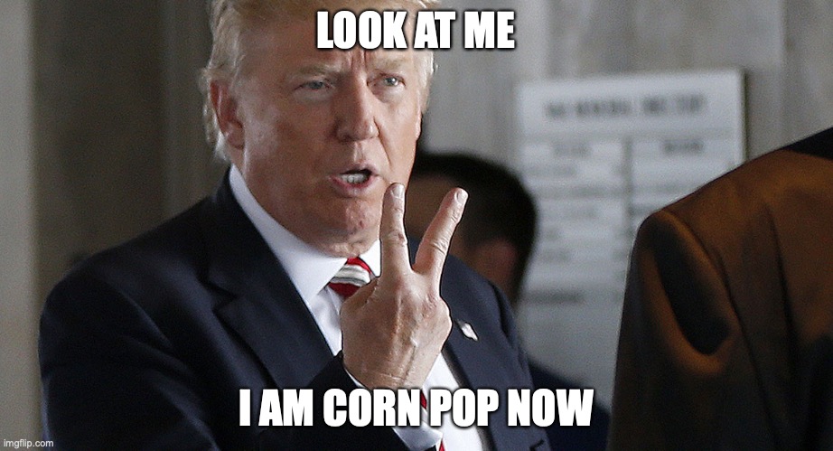 Donald Trump | LOOK AT ME; I AM CORN POP NOW | image tagged in donald trump | made w/ Imgflip meme maker