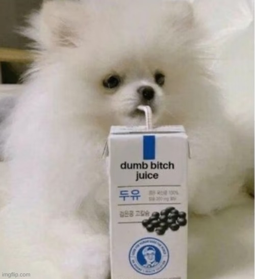 accurate pic of me | image tagged in dumb bitch juice | made w/ Imgflip meme maker