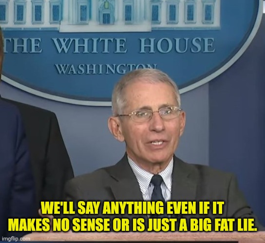 Dr Fauci | WE'LL SAY ANYTHING EVEN IF IT MAKES NO SENSE OR IS JUST A BIG FAT LIE. | image tagged in dr fauci | made w/ Imgflip meme maker
