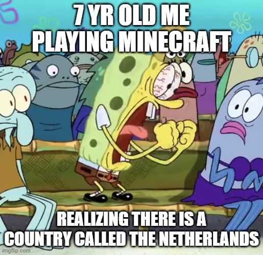 relatable | 7 YR OLD ME PLAYING MINECRAFT; REALIZING THERE IS A COUNTRY CALLED THE NETHERLANDS | image tagged in spongebob yelling | made w/ Imgflip meme maker