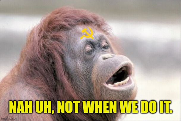 Monkey OOH Meme | NAH UH, NOT WHEN WE DO IT. | image tagged in memes,monkey ooh | made w/ Imgflip meme maker