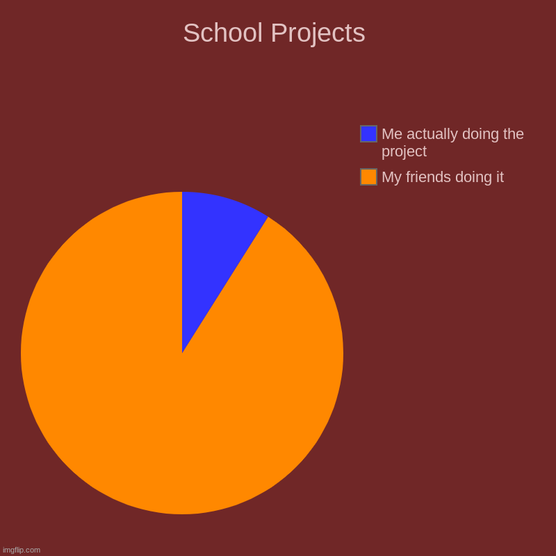 School Projects | My friends doing it, Me actually doing the project | image tagged in charts,pie charts | made w/ Imgflip chart maker