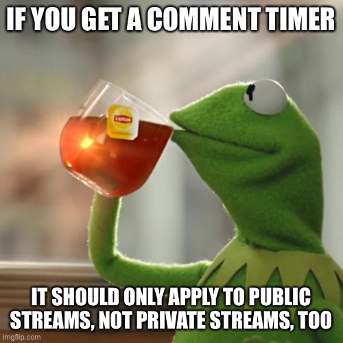 But That's None Of My Business Meme | IF YOU GET A COMMENT TIMER; IT SHOULD ONLY APPLY TO PUBLIC STREAMS, NOT PRIVATE STREAMS, TOO | image tagged in memes,but that's none of my business,kermit the frog | made w/ Imgflip meme maker