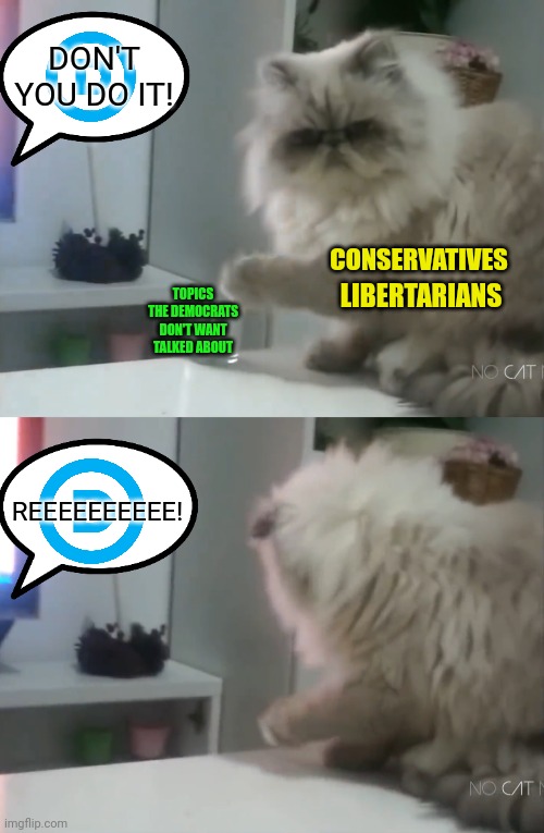 DON'T YOU DO IT! CONSERVATIVES; TOPICS THE DEMOCRATS DON'T WANT TALKED ABOUT; LIBERTARIANS; REEEEEEEEEE! | image tagged in cats,conservatives,libertarians,democrats,woman yelling at a cat | made w/ Imgflip meme maker