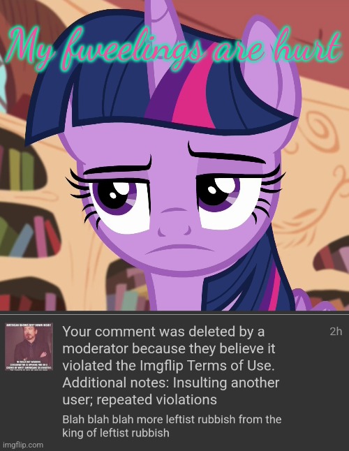 My fweelings are hurt | image tagged in unamused twilight sparkle mlp | made w/ Imgflip meme maker