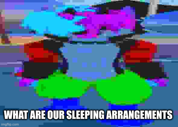 as in who sleeps where and shit | WHAT ARE OUR SLEEPING ARRANGEMENTS | image tagged in wide hex | made w/ Imgflip meme maker