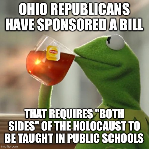 But That's None Of My Business Meme | OHIO REPUBLICANS HAVE SPONSORED A BILL; THAT REQUIRES "BOTH SIDES" OF THE HOLOCAUST TO BE TAUGHT IN PUBLIC SCHOOLS | image tagged in memes,but that's none of my business,kermit the frog | made w/ Imgflip meme maker