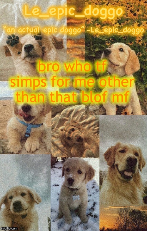 Doggo temp by doggo. Wait what that’s confusing | bro who tf simps for me other than that blof mf | image tagged in doggo temp by doggo wait what that s confusing | made w/ Imgflip meme maker
