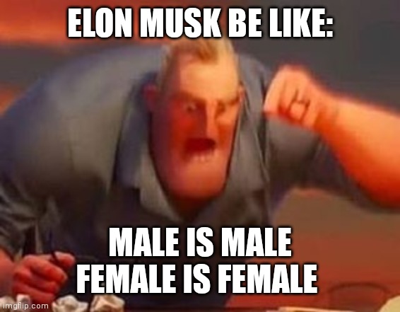 Mr incredible mad | ELON MUSK BE LIKE:; MALE IS MALE
FEMALE IS FEMALE | image tagged in mr incredible mad | made w/ Imgflip meme maker