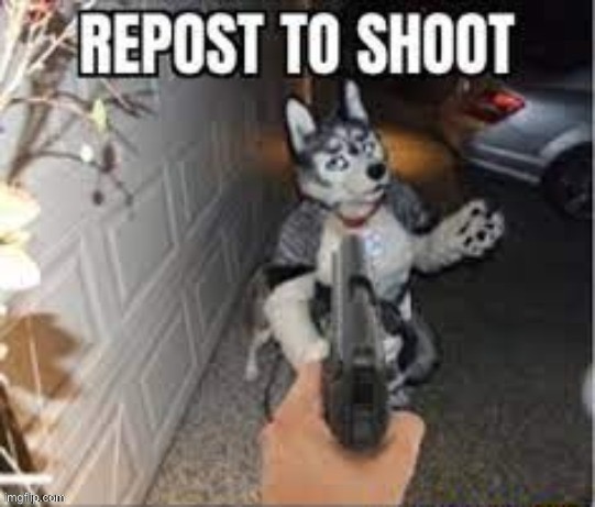 EMPTY THE CLIP ON IT | image tagged in anti furry | made w/ Imgflip meme maker