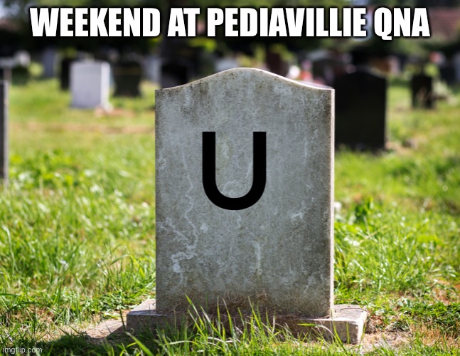 You red the title right | WEEKEND AT PEDIAVILLIE QNA | image tagged in never gonna give you up,never gonna let you down,never gonna run around,and desert you | made w/ Imgflip meme maker