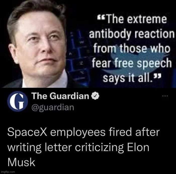 Of course the failing Left-wing Guardian hates Elon Musk, they should be shut down for libel | image tagged in free speech,elon musk,libel,slander,libtrads,msm | made w/ Imgflip meme maker