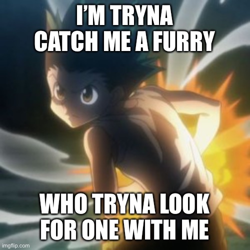 EVERY FURRY SHOT | I’M TRYNA CATCH ME A FURRY; WHO TRYNA LOOK FOR ONE WITH ME | image tagged in anti furry,hunter x hunter | made w/ Imgflip meme maker