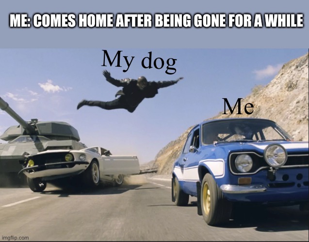 Must yeet self on hooman | ME: COMES HOME AFTER BEING GONE FOR A WHILE; My dog; Me | image tagged in fast and furious jump | made w/ Imgflip meme maker
