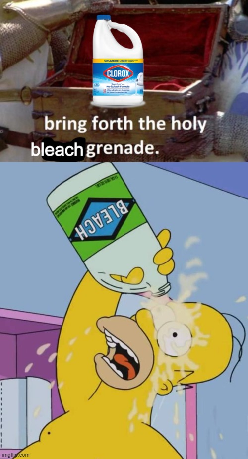 image tagged in bring forth the holy bleach grenade,homer with bleach | made w/ Imgflip meme maker