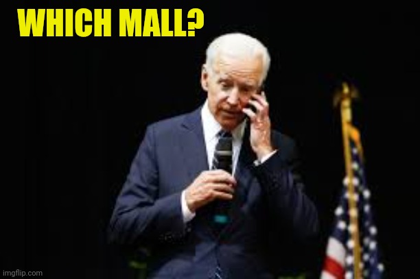 Joe Biden on the phone | WHICH MALL? | image tagged in joe biden on the phone | made w/ Imgflip meme maker