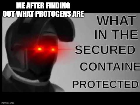 what in the- | ME AFTER FINDING OUT WHAT PROTOGENS ARE | image tagged in what in the secured contained protected | made w/ Imgflip meme maker