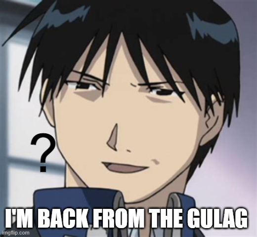 Stuff was wild in there fr | I'M BACK FROM THE GULAG | image tagged in roy mustang | made w/ Imgflip meme maker